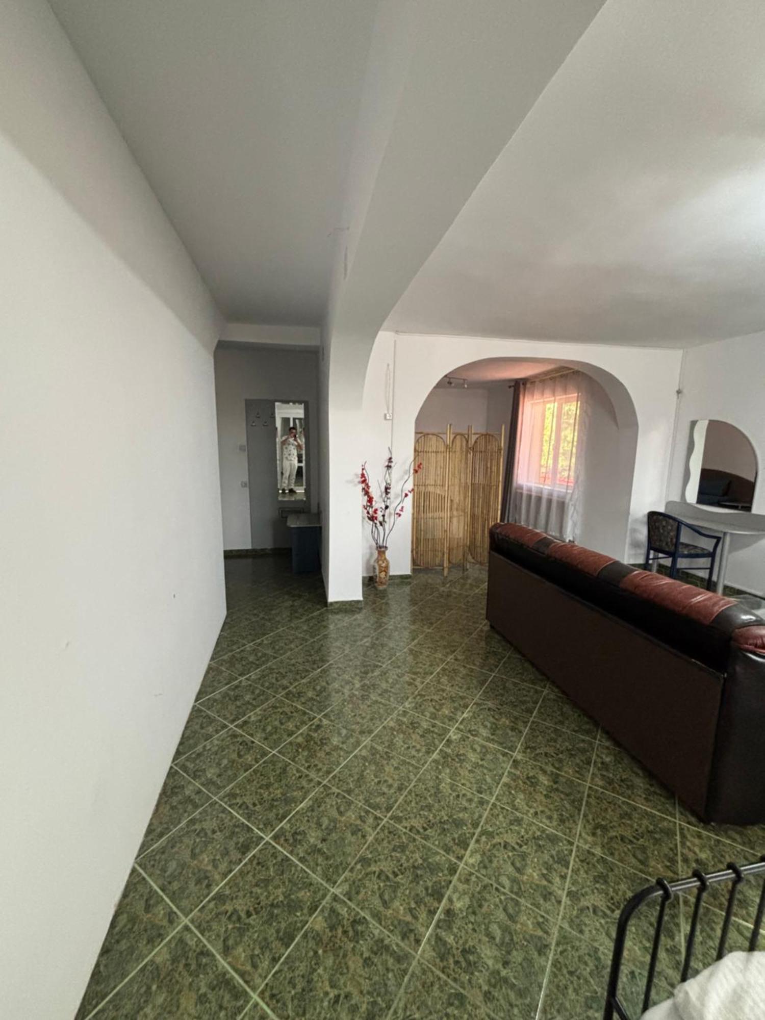 Hypnotic Villa Piteşti Extérieur photo